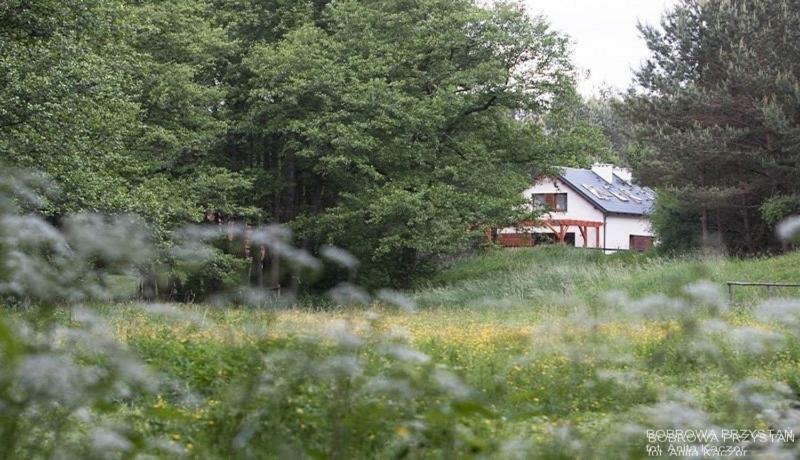 CzechynBobrowa Przystan别墅 外观 照片